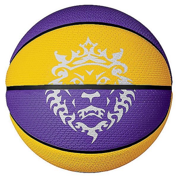 NIKE PLAYGROUND 2.0 8P L JAMES DEFL Ballon de basketball adulte NIKE ...