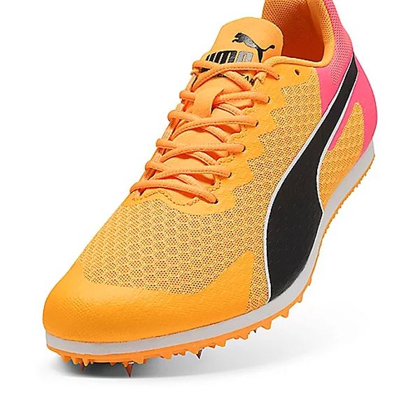 311379_KAM_D1?$produit_l$