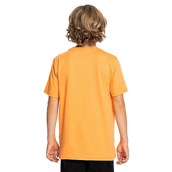 T047950TGW_AR?$produit_l$