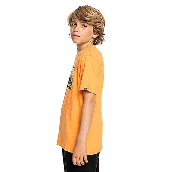 T047950TGW_D1?$produit_l$